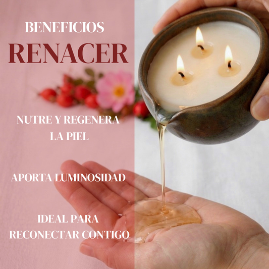 RENACER - VELA MASAJE ROSA MOSQUETA 🌹