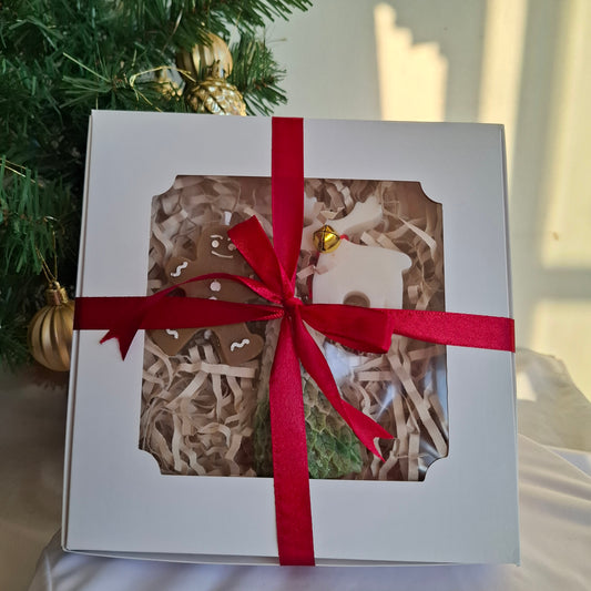 Kit LUZÉRA Navideña